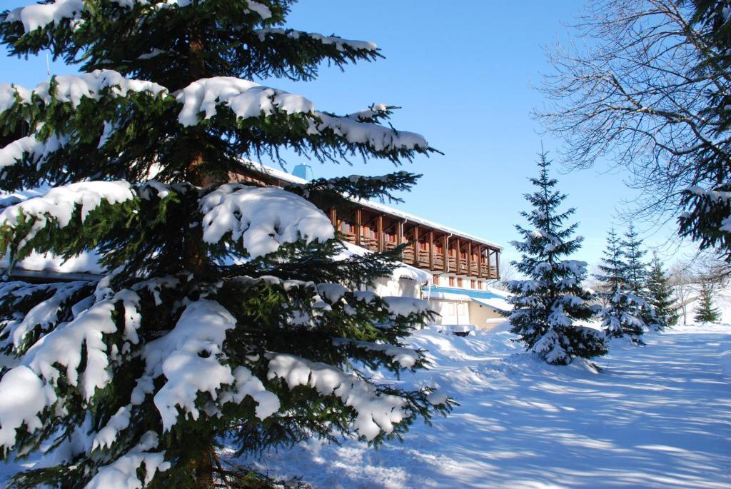 Hotel Le Grand Chalet Foncine-le-Haut Zewnętrze zdjęcie